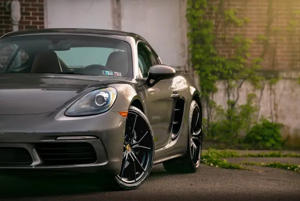 Casino Spin Pug Android/iOS-app